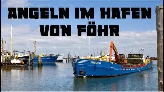 Angeln auf Föhr | Angeln auf Hochtour