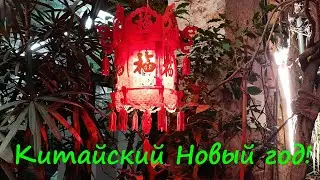 Китайский новый год в России.