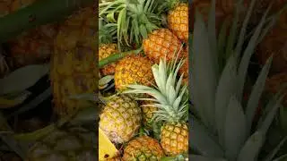 Top 5 Snacks That are Great for your Gut Health & Weight loss | Healthy Fruits