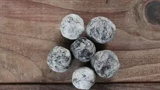 How to Make Milkweed Seed Bombs