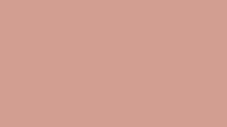 Neutral Salmon Screen for 1 hour in full HD 4K !