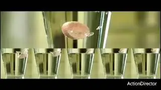 (SEIZURE WARNING) Moments of Everyday Life gone too crazy Reversed My Vlix Video