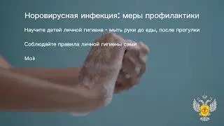 норовирус профилактика видео video converter com