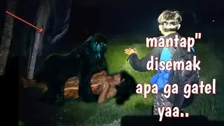 Tulkiyem digenjot disemak2 tengah malam..