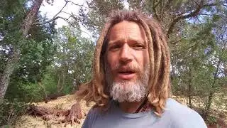 Dry land rainwater harvesting food forest
