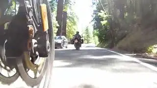 Avenue Of Giants - Humboldt County California