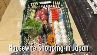 housewife's shopping at supermarket, goodies store, 100yen stores in  a month