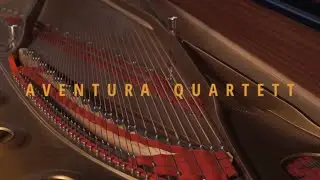 Aventura Quartett Album Trailer Soul&Mind