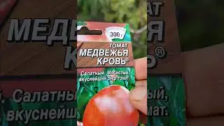 УРОЖАЙНЫЕ ТОМАТЫ в открытом грунте/сезон 2024/