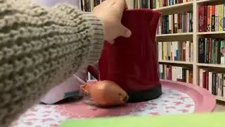 NEFES DARLIĞI - BURUN TIKANIKLIĞI -BRONŞİTE EVDE DOĞAL ÇÖZÜM !!