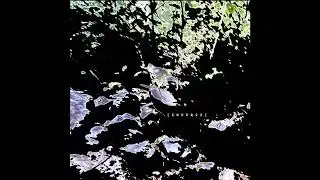 Non.type - Contrariado