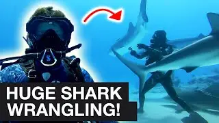 SHARKS and LASERS off the coast of the Bahamas | Bear Uncut