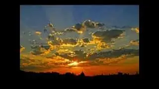 Southern Sunshine