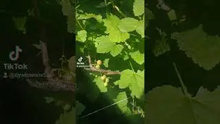 Будем счастливы 🌈
