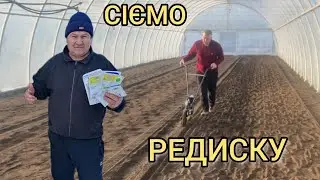 Посів ранньої Редиски. Які Сорти сіємо