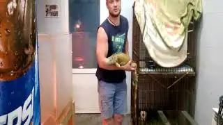 Потеряшка