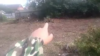 Рощино  расчистка заросшего участка мини экскаватором.