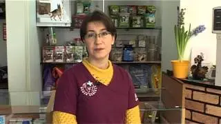 Birute Šalnaitė -  Kaip atpažinti kad katė serga