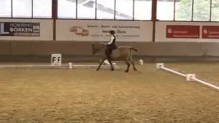 Working Equitation 2 Dressur Borken Sonja und Ola