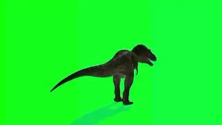 green screen   Tyrannosaurus rex  video Dinosaurs  free  4k  green screen