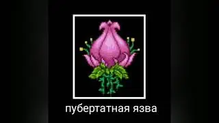 В главных ролях Terraria: