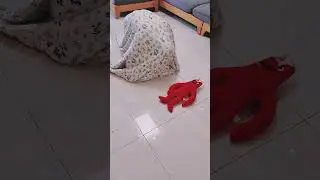 catnap jumpscare part2