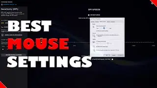The Best Mouse Settings