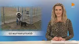 DTV Híradó (2024.12.20.)