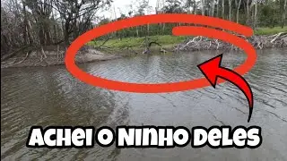 Caracol do Rio Xeruini! Só pancada dos Brutos!