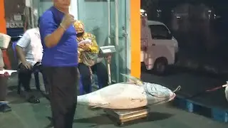 See Giant Fish
