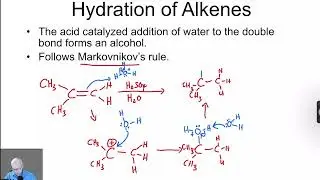 The Acid Catalyzed Hydration of Alkenes & Rearrangements -Organic Chemistry One (1) Lecture Video 42