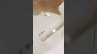 Southpark Randy in Japanese toilet 🔥🚽 