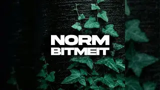 BITMEIT - Norm ( Official Music )