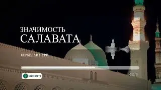 Значимость салавата
