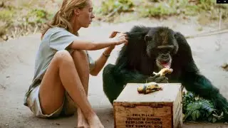 Famous Animals That Changed History