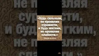 6 сентября 2024 г.