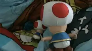 The Toad Bros: The Silly Adventure