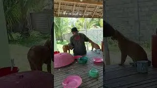 Makan bersama Majikan