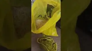 ПОЛУГАР, КАК ДЕЛАТЬ НЕ НАДО!