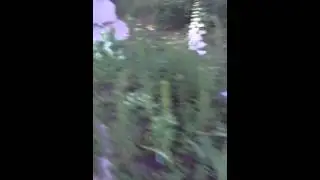 Рифмует в тему