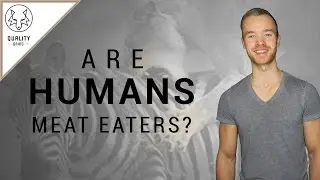 Are Humans Meat Eaters? - Frugivore Diet