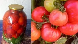 ТОМАТЫ 2022 / МАРИНОВАННЫЕ 🍅ПОМИДОРЫ 🍅ЗАГОТОВКИ 2022