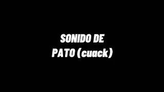 SONIDO DE PATO (cuack)