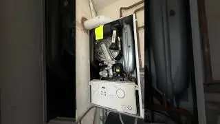 🐰🟢 Why I like Vaillant Boilers ❓