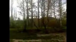 Video-0011
