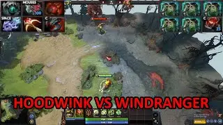 HOODWINK VS WINDRANGER