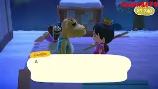 Animal Crossing New Horizons #5