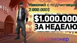Накопил 1.000.000$ в Online RP с подписчицой "Alina_Sanches".