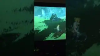 Fun and games (breath of the wild)
