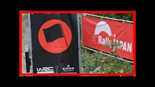 Rally Japan's WRC return set to be abandoned at FIA council meeting | k production channel